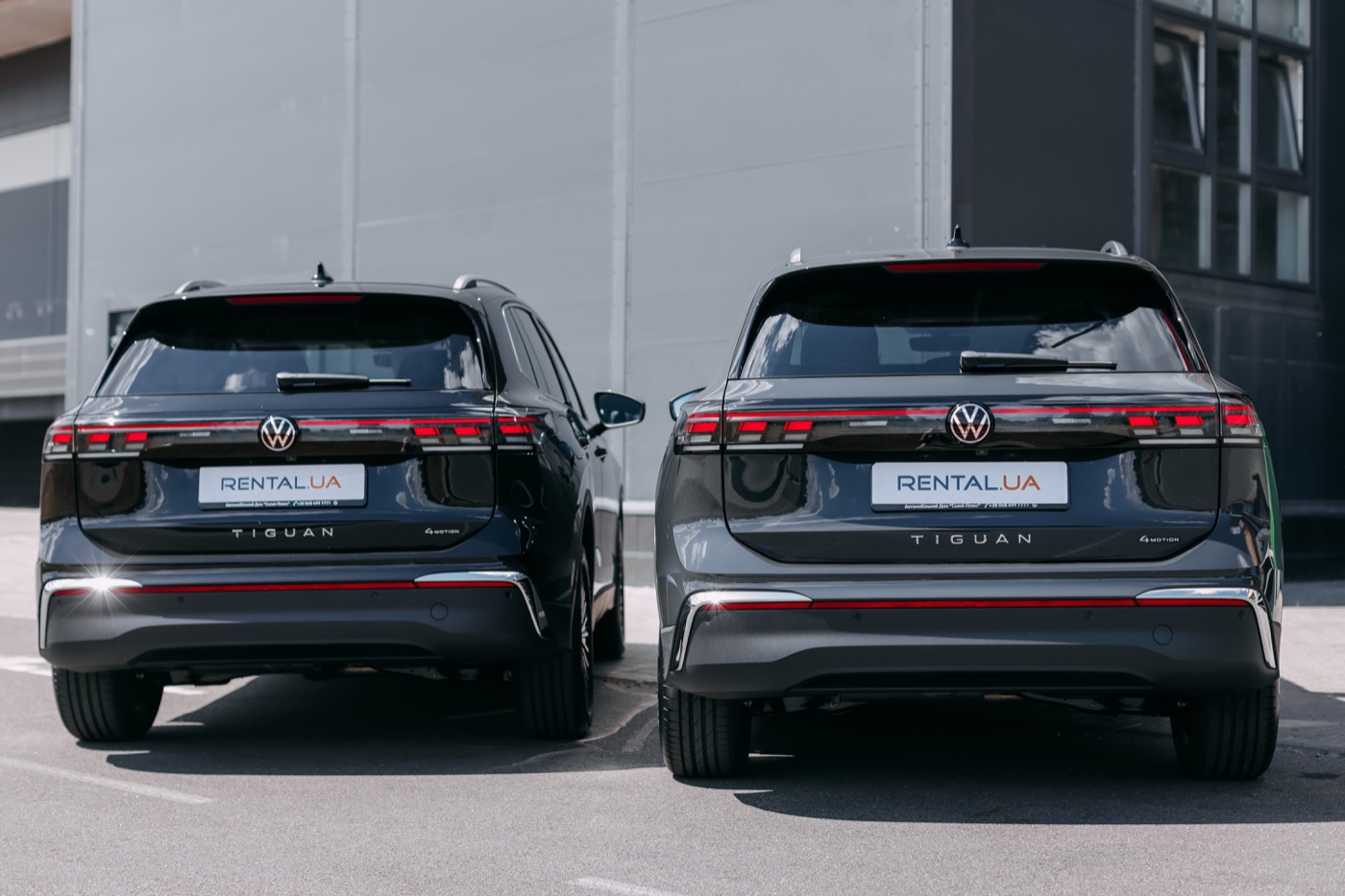 Автопарк RENTAL.UA — Volkswagen Tiguan з фірмовими номерами